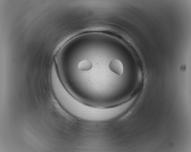 X0000111941417200907271402