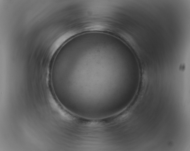 X0000111941418200907271402