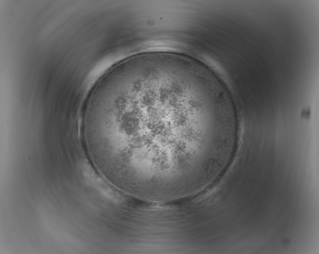X0000111941419200907271402