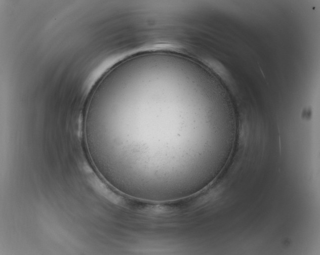 X0000111941420200907271402