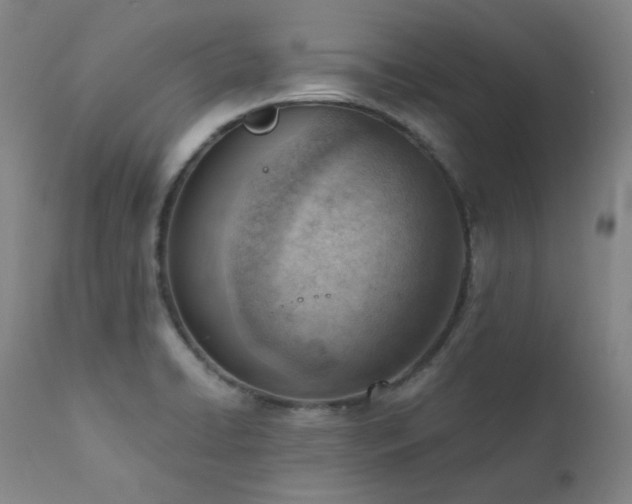 X0000111941422200907271402