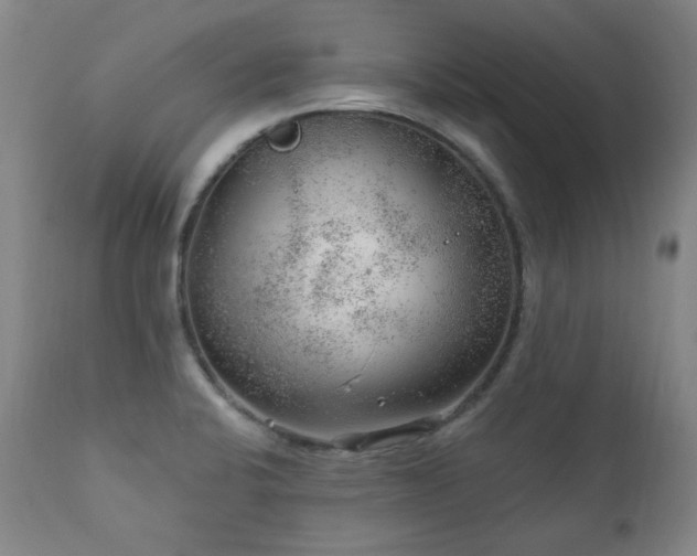 X0000111941424200907271402