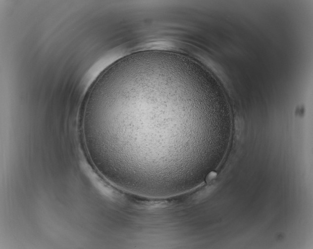 X0000111941426200907271402