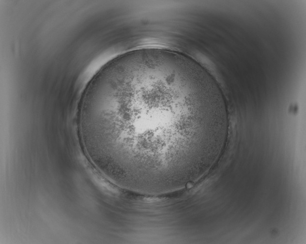 X0000111941427200907271402