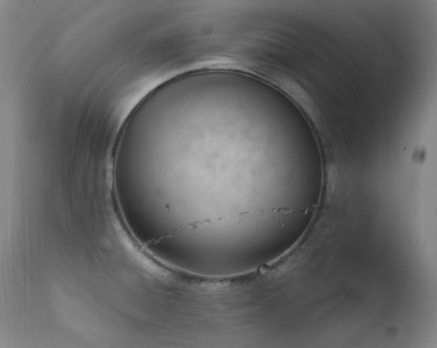 X0000111941428200907271402