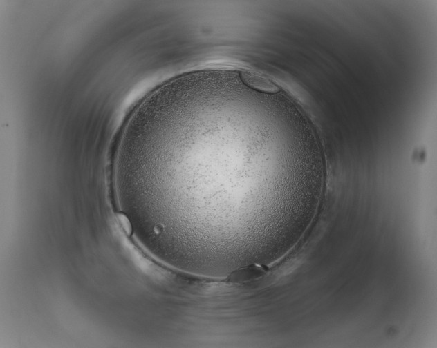X0000111941430200907271402