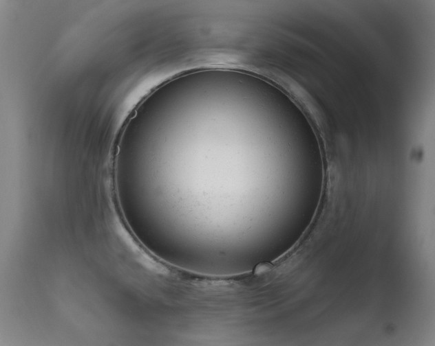 X0000111941432200907271402