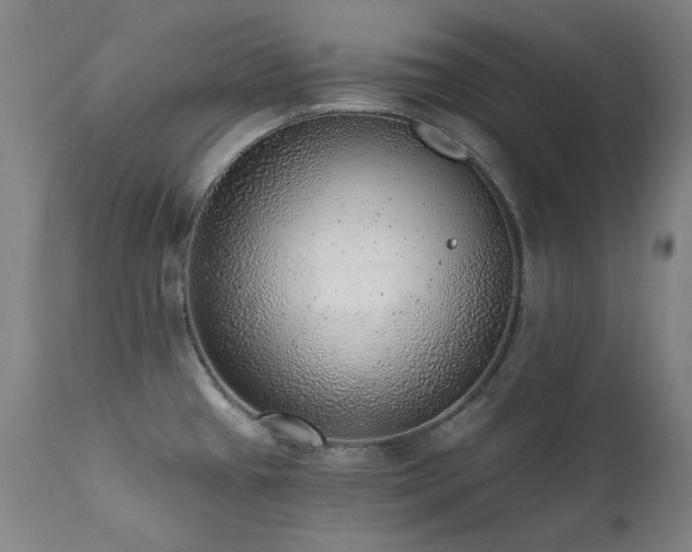 X0000111941433200907271402