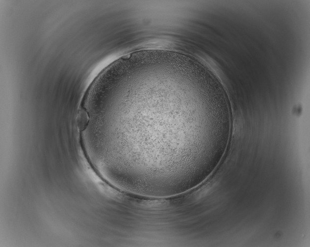 X0000111941434200907271402