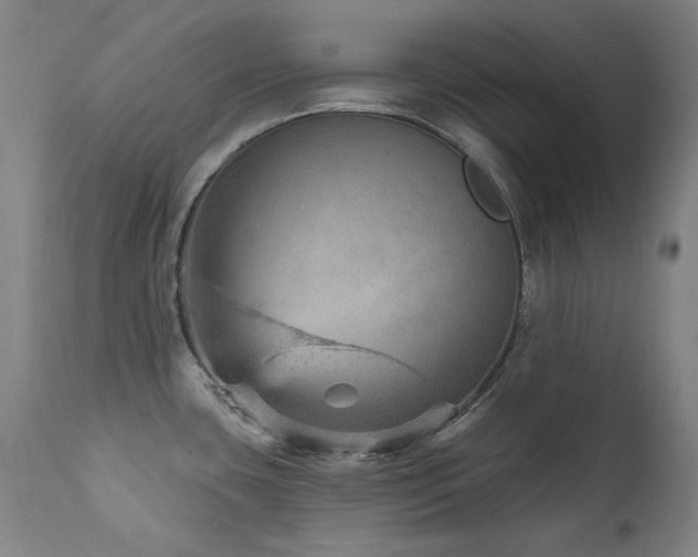X0000111941435200907271402