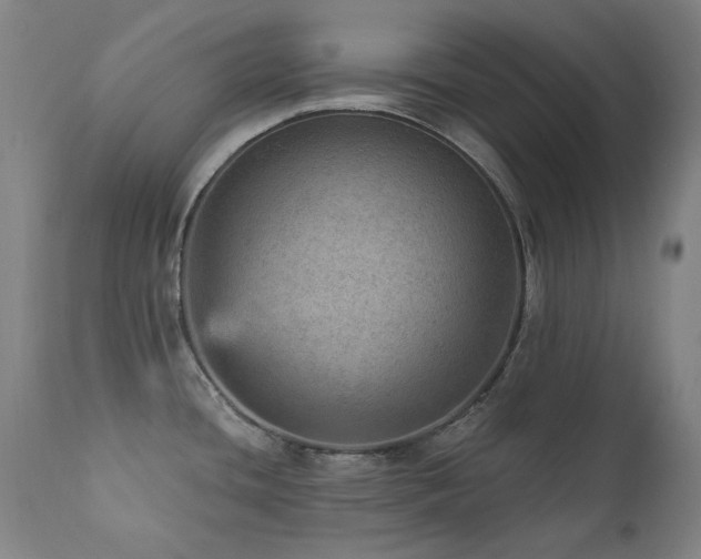 X0000111941436200907271402