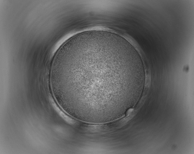 X0000111941438200907271402