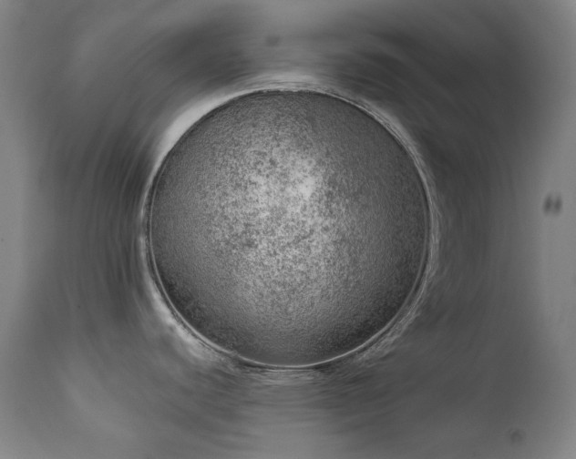 X0000111941440200907271402