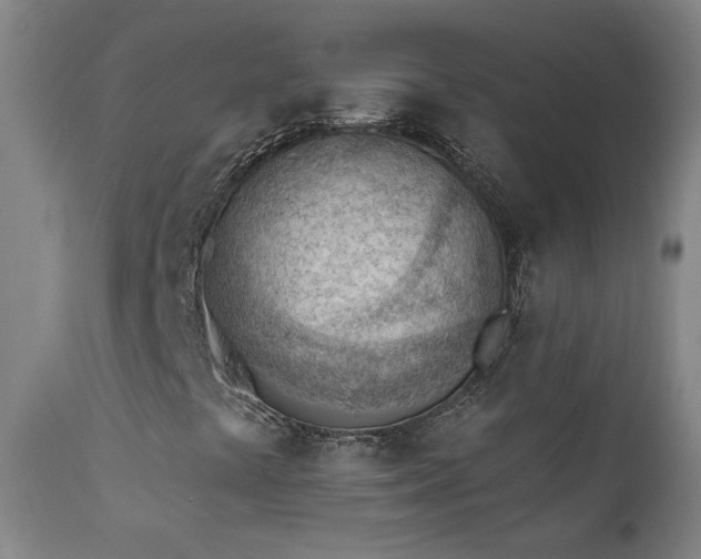 X0000111941441200907271401