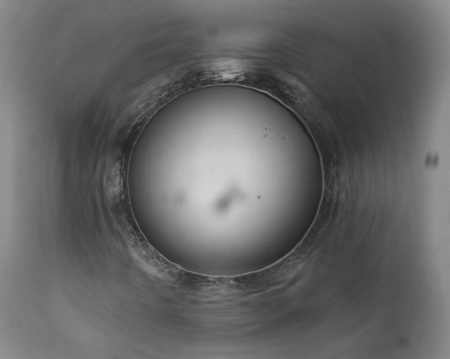 X0000111941442200907271401