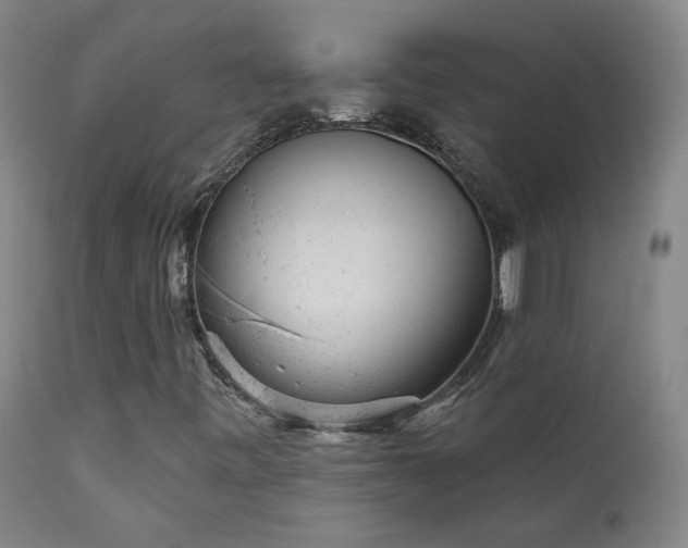 X0000111941443200907271401