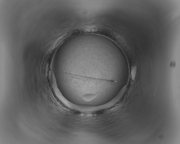 X0000111941444200907271401
