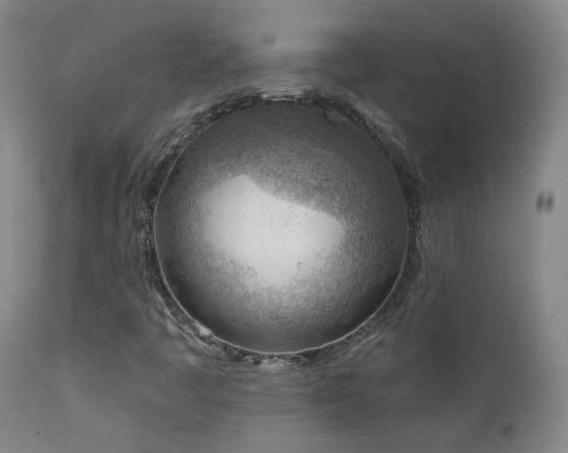 X0000111941445200907271401