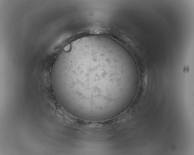 X0000111941446200907271401
