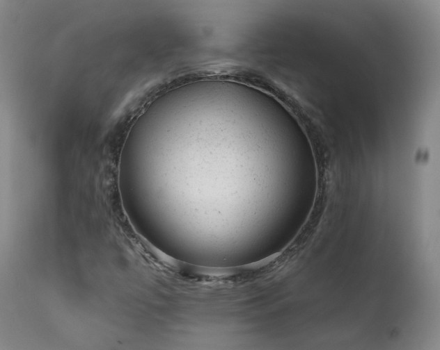 X0000111941447200907271401