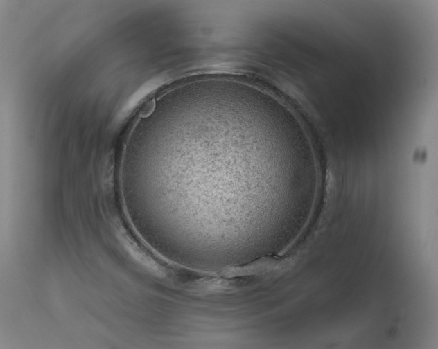 X0000111941450200907271401