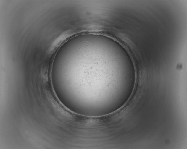X0000111941451200907271401