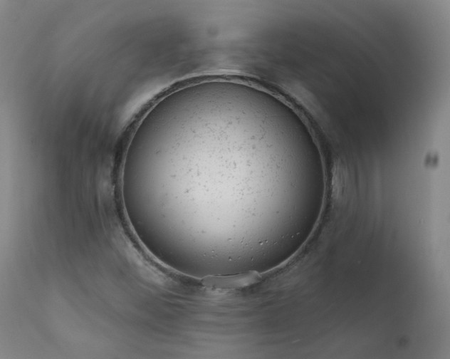 X0000111941452200907271401