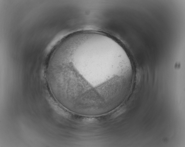 X0000111941454200907271401