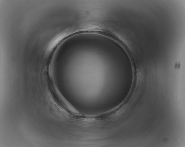 X0000111941455200907271401