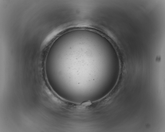 X0000111941456200907271401