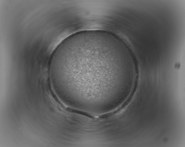 X0000111941457200907271401