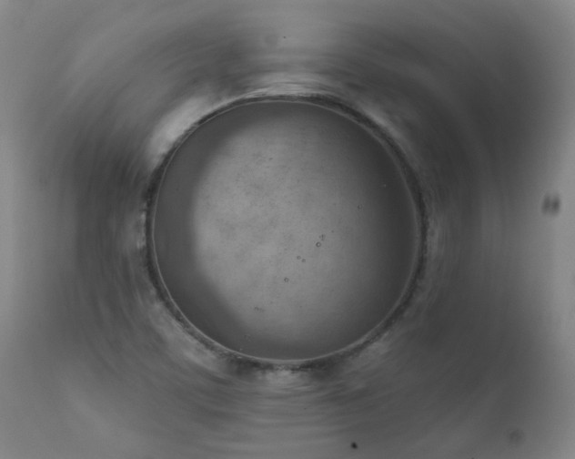 X0000111941459200907271401