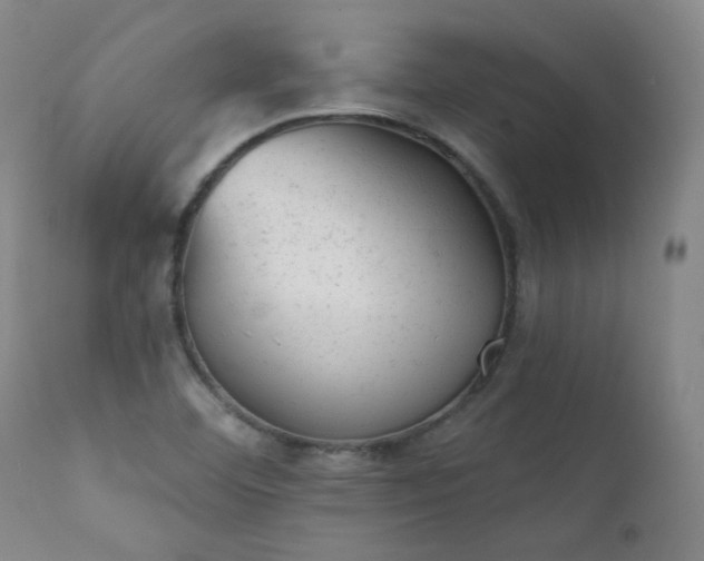 X0000111941460200907271401