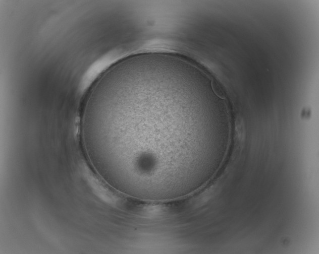 X0000111941461200907271401