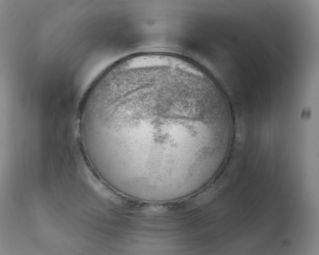 X0000111941462200907271401