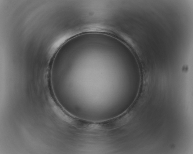 X0000111941463200907271401