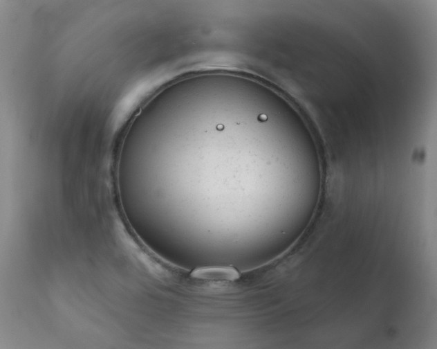 X0000111941464200907271401