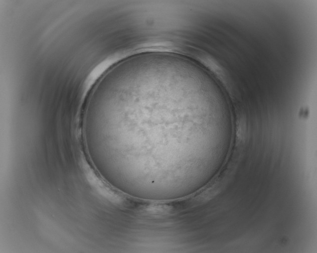 X0000111941466200907271401