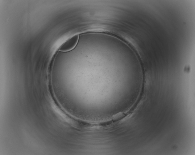 X0000111941467200907271401