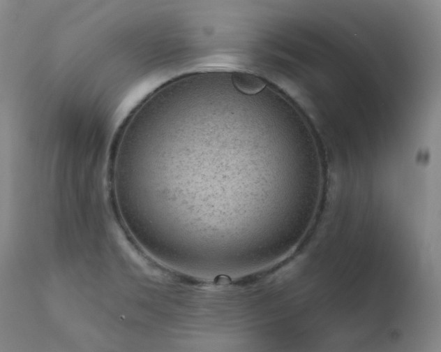 X0000111941469200907271401