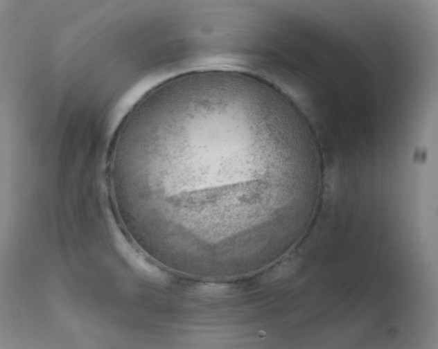 X0000111941470200907271401
