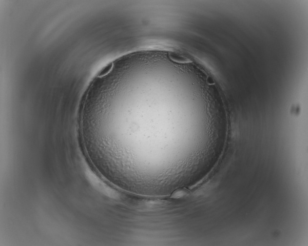 X0000111941471200907271401