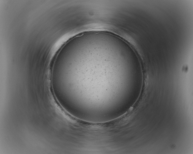 X0000111941472200907271401