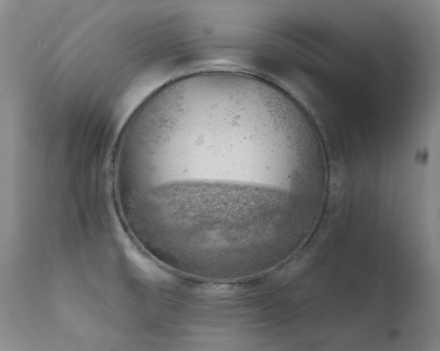 X0000111941474200907271401