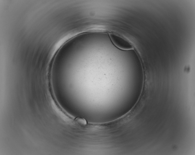 X0000111941475200907271401