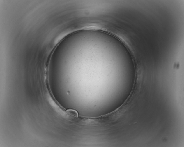 X0000111941476200907271401