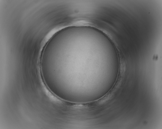 X0000111941478200907271401