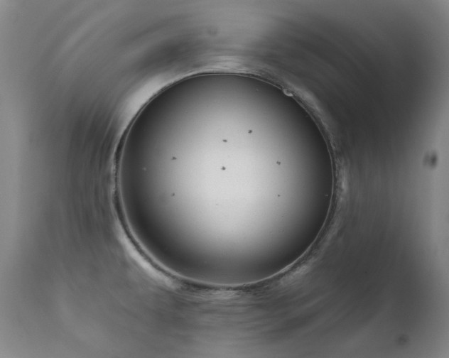 X0000111941479200907271401