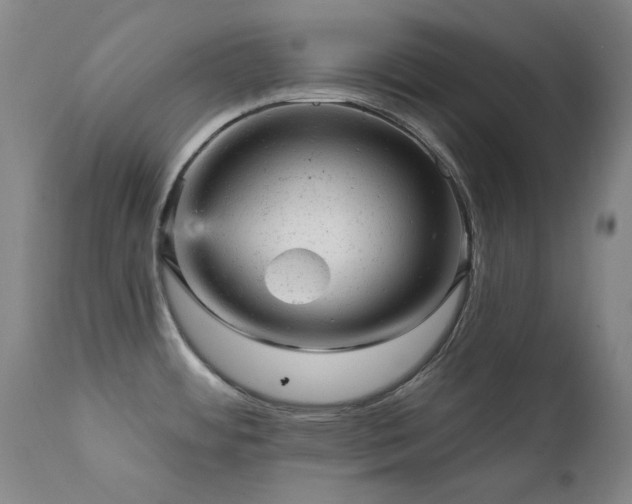X0000111941484200907271401