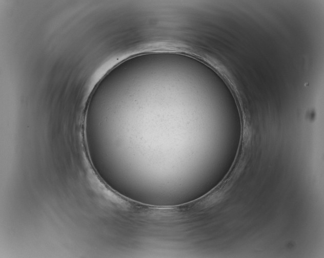 X0000111941486200907271401